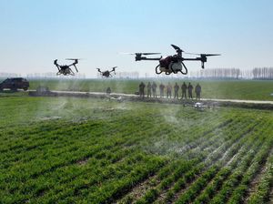 Ada Drone Mondar-mandir di China, Bukan Mata-mata tapi buat Nyemprot Pestisida