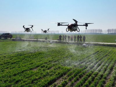 Ada Drone Mondar-mandir di China, Bukan Mata-mata tapi buat Nyemprot Pestisida