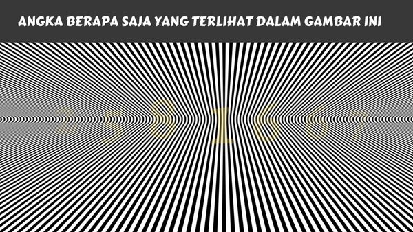 Temukan Angka Tersembunyi di Gambar Ini, Yuk! Kalau Berhasil Tandanya Kamu Jeli