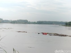 Bengawan Solo Siaga 2, Warga Ngawi-Bojonegoro Diminta Selalu Waspada