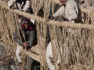 Cuma di Peru! Ada Jembatan dari Rajutan Rumput, Ini Potretnya