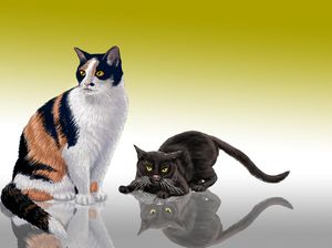 Pada Malam Ketika Selera Makan Si Gendut Hilang