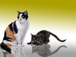 Pada Malam Ketika Selera Makan Si Gendut Hilang