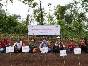 Kolaborasi Kembangkan Pertanian Jahe di Lebak Banten
