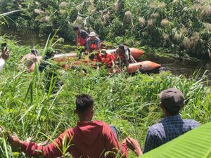 Hilang Diterkam Buaya, Peternak Sapi di Rohil Ditemukan Tewas