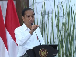 Jokowi Puji Respons Cepat Basarnas, Singgung Kecelakaan AirAsia-Lion Air