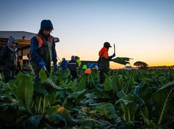 Redam Pengaruh China di Pasifik, Australia Umumkan Alokasi 3.000 Visa Baru Per Tahun