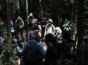 Relawan Ganjar Bentuk Komunitas Pencinta Alam di Kabupaten Sanggau