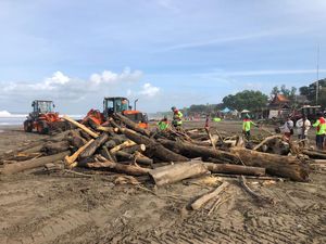 Pantai Seminyak Dibanjiri Sampah Kayu Raksasa Pantai Seminyak Dibanjiri Sampah Kayu Raksasa