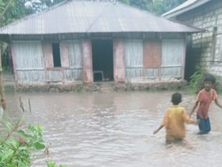 50 Rumah di Kupang Terendam Banjir, Ternak-Perabotan Hanyut
