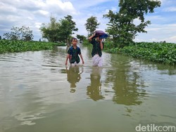 Banjir Luapan Bengawan Njero Rendam 24 Sekolah di Lamongan