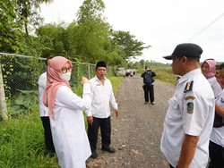 Cek Pembangunan, Bupati Ipuk: Jalan Cantuk Dibeton Tahun Ini