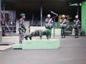 Salut! Dandim Jakut Hukum Diri Sendiri dengan Push Up karena Telat Apel