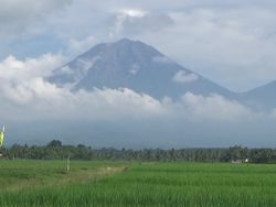 PVMBG Sebut Gunung Semeru Erupsi 572 Kali Dalam Sepekan