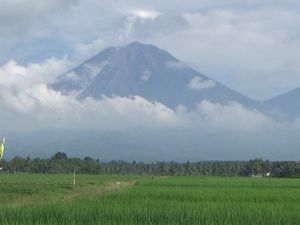 Semeru Tertutup Kabut Usai Muntahkan Guguran Lava Pijar Sejauh 1,5 KM Semeru Tertutup Kabut Usai Muntahkan Guguran Lava Pijar Sejauh 1,5 KM