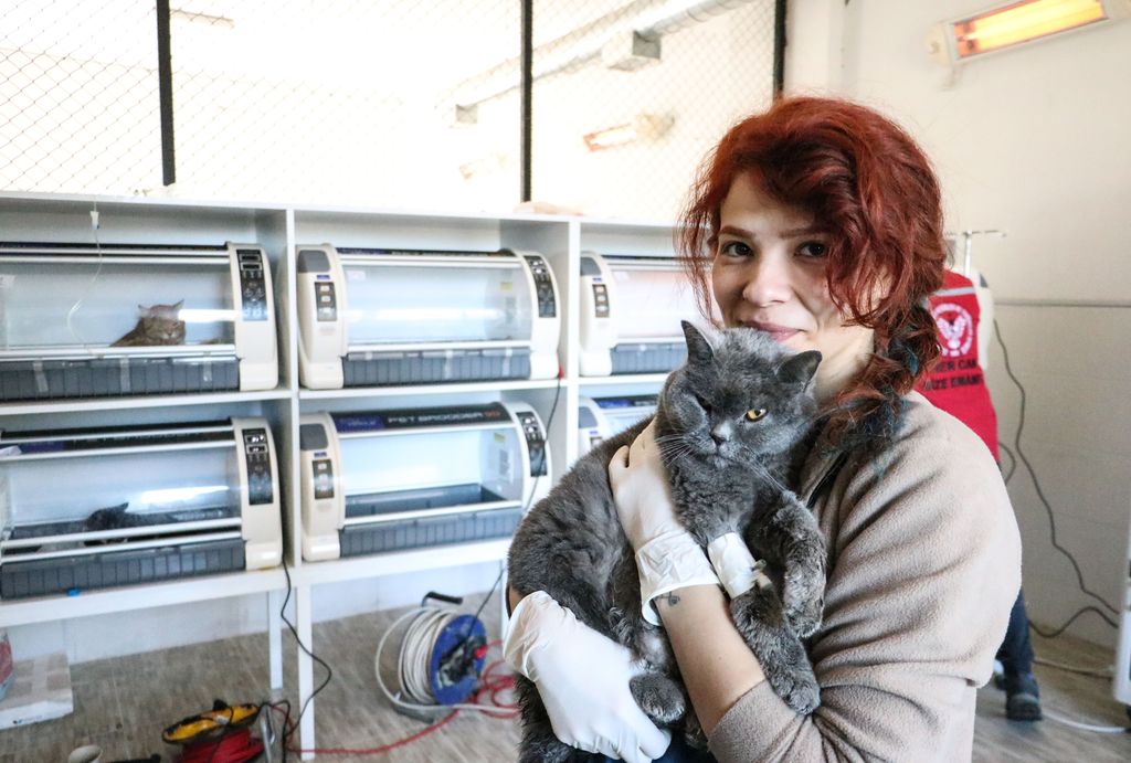 KAHRAMANMARAS, TURKIYE - FEBRUARY 16: Animals left under the rubble during earthquakes are treated by volunteer veterinarians who go to the region, after 7.7 and 7.6 magnitude earthquakes in Kahramanmaras, Turkiye, on February 16, 2023. On Feb. 06, a strong 7.7 earthquake, centered in the Pazarcik district, jolted Kahramanmaras and strongly shook several provinces, including Gaziantep, Sanliurfa, Diyarbakir, Adana, Adiyaman, Malatya, Osmaniye, Hatay, and Kilis. Later, at 13.24 p.m. (1024GMT), a 7.6 magnitude quake centered in Kahramanmaras' Elbistan district struck the region. (Photo by Firat Ozdemir/Anadolu Agency via Getty Images)