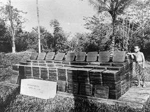 Karet Tjipetir Sukabumi: Diangkut Titanic hingga Gegerkan Eropa