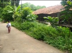 Kronologi Tabrak Lari Lalu Korban Dibuang di Depok Berujung Tewas