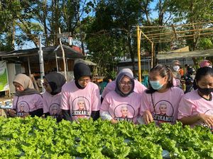 Srikandi Ganjar Gelar Pelatihan Budidaya Hidroponik di Pontianak