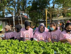 Srikandi Ganjar Gelar Pelatihan Budidaya Hidroponik di Pontianak