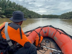 Nelayan di Kukar Diduga Diterkam Buaya 3 Meter Usai Hilang saat Jaring Ikan
