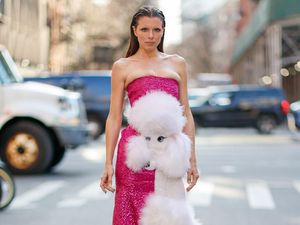 Julia Fox Pakai Gaun Berkepala Poodle, Curi Atensi di New York Fashion Week Julia Fox Pakai Gaun Berkepala Poodle, Curi Atensi di New York Fashion Week