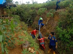 Pria Ini Tersesat di Perkebunan Hambalang Bogor gegara Ikuti Google Maps