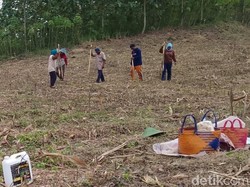 Asyik! Petani Ngraho Blora Bakal Garap Lahan Hutan Secara Legal