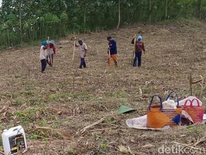 Asyik! Petani Ngraho Blora Bakal Garap Lahan Hutan Secara Legal Asyik! Petani Ngraho Blora Bakal Garap Lahan Hutan Secara Legal