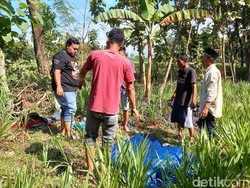 Ponsel Instruktur Senam Disita Polisi demi Ungkap Tewasnya Suami