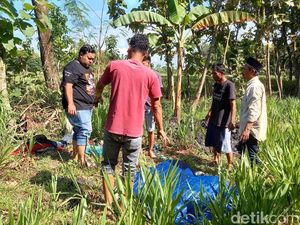 Ponsel Instruktur Senam Disita Polisi demi Ungkap Tewasnya Suami Ponsel Instruktur Senam Disita Polisi demi Ungkap Tewasnya Suami