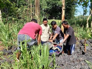 Pengakuan Instruktur Senam soal Tewasnya Suami Tak Masuk Akal, Polisi Cek HP Pengakuan Instruktur Senam soal Tewasnya Suami Tak Masuk Akal, Polisi Cek HP