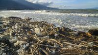 Miris, Pantai Teluk Palu Dipenuhi Sampah hingga Ubur-ubur
