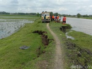 Tanggul Sungai Loro Bojonegoro Ambles Sepanjang 30 Meter Tanggul Sungai Loro Bojonegoro Ambles Sepanjang 30 Meter
