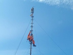 Seekor Ular Besar Ditemukan Lilit Tower Pemancar Wi-Fi di Surabaya