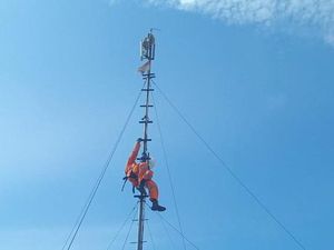 Seekor Ular Besar Ditemukan Lilit Tower Pemancar Wi-Fi di Surabaya Seekor Ular Besar Ditemukan Lilit Tower Pemancar Wi-Fi di Surabaya