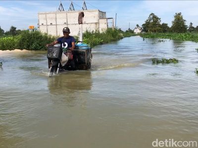 Potret Luapan Banjir Bengawan Njero Rendam 35 Desa di Lamongan