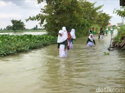 Banjir Luapan Bengawan Njero Meluas, 3.460 Rumah di 35 Desa Terendam