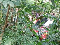 Bus Rombongan Ziarah Terjun ke Jurang Gebang Purworejo