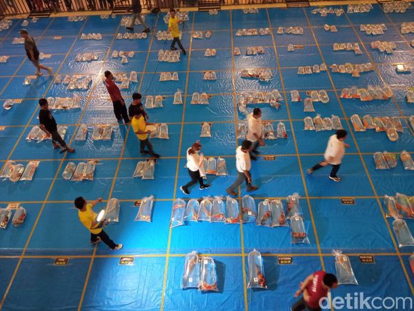 Meriahnya Kontes Koi di Cirebon