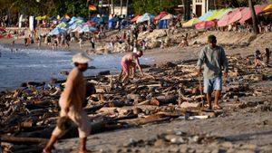 Penampakan Pantai Kuta yang Dibanjiri Sampah Kayu