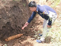 Warga Tulungagung Temukan Mortir saat Perbaiki Jalan di Hutan