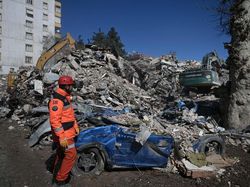 3 Pekan Terjebak Reruntuhan dan Tanpa Makanan, Anjing di Turki Ini Selamat 3 Pekan Terjebak Reruntuhan dan Tanpa Makanan, Anjing di Turki Ini Selamat