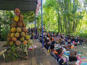 Potret Wiwit Ngunduh Durian di Temanggung