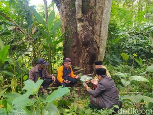 Warga Ngropoh Temanggung Gelar Ritual Wiwit Duren di Pohon Tertua Warga Ngropoh Temanggung Gelar Ritual Wiwit Duren di Pohon Tertua