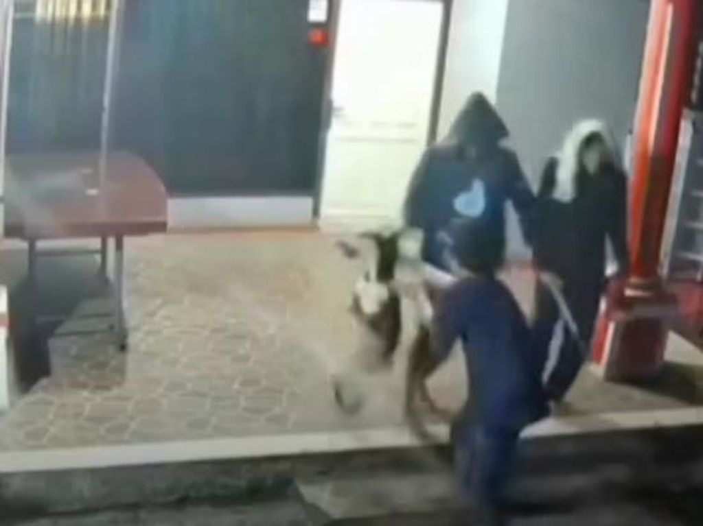 3 Pria Aniaya hingga Curi Anjing di Minahasa Tenggara, Polisi Selidiki