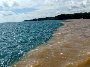 Viral Air di Pantai Baron Gunungkidul Jadi Dua Warna, Ini Penyebabnya Viral Air di Pantai Baron Gunungkidul Jadi Dua Warna, Ini Penyebabnya