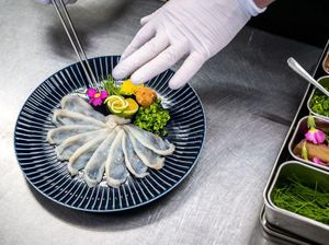 Ikan Buntal Macan, Sajian Mematikan Khas Fukushima Jepang Ikan Buntal Macan, Sajian Mematikan Khas Fukushima Jepang