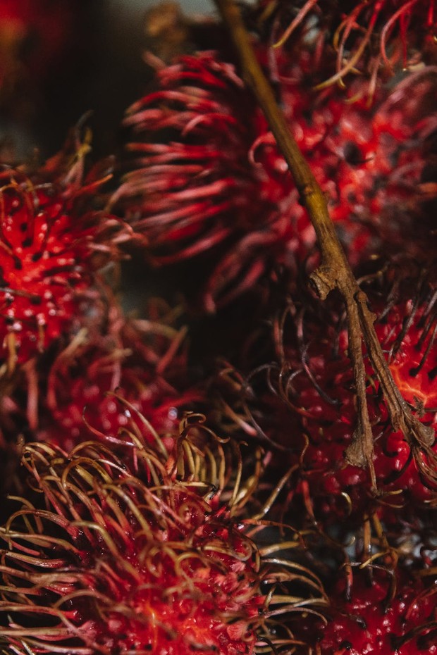 Buah rambutan memiliki manfaat untuk kulit.