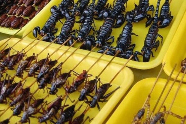 Thailand banyak menyajikan makanan-makanan ekstrem, salah satunya kalajengking